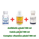 Antibiotic natural păsări Vita Biotic 100 ml + Calciu pentru păsări Bio Vita CD Phos 100 ml + Complex nutritiv Promotor L 47.0 100 ml