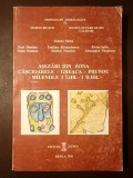 Valeriu S&icirc;rbu (coord.) - Așezări din zona Căscioarele - Greaca - Prundu (mileniile I &icirc;. Hr. - I d. Hr.) (monografii arheologice III)