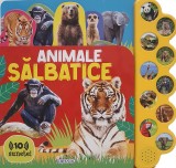 10 sunete - Animale salbatice PlayLearn Toys, Girasol