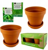 Set de 2 Ghivece din Teracotă din Lut Natural cu Semințe de Arpagic și Busuioc, &Oslash; 13 cm, Maro/Portocaliu
