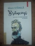 Brancusi sau cum a invatat testoasa sa zboare- Moni Stanila