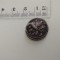 Moneda din argint