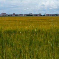 Teren ieftin in Fratesti ,Giurgiu 4 euro/mp foto