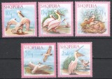 Albania 1967 - Pelicani, păsări, serie neuzata