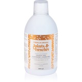 Aronia Charlotteburg Premium Aronia Colagen Joint and Muscles nutriția articulațiilor 500 ml