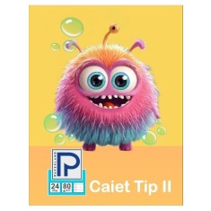 Caiet A5 Tip II, 40 file, 80 grame Paperland