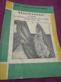 Cumpara ieftin RECOMANDARI CU PRIVIRE LA CULTURA PORUMBULUI DUBLU HIBRD PENTRU 1961