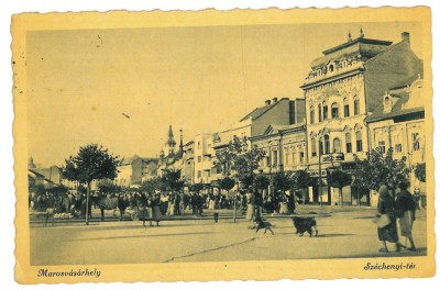2171 - TARGU-MURES, Market, Romania - old postcard - used - 1941 foto