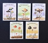 Ciuperci - Benin 1996 - Set 5 Timbre Ciuperci CP1_I