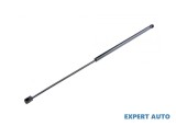 Telescop capota spate Ford Transit Connect (2002-2012)[P65_,P70_,P80] #1
