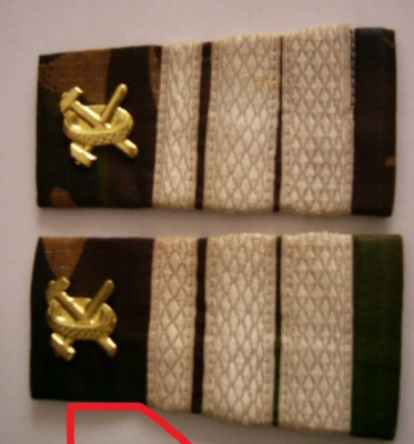 C3 - Grade militare - mozaic padure - plutonier major auto foto