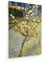 Tablou pe panza (canvas) - Vincent Van Gogh - Pear Tree in Blossom foto