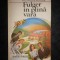 P. G. Wodehouse - Fulger in plina vara