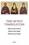 Trei sfinti tamaduitori: Sfantul Samson, Sfantul Agapit, Sfantul Patapie