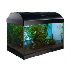 Set acvariu DIVERSA START UP 40 - PLAT - Negru Set acvariu DIVERSA START UP 40 - PLAT - Negru