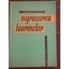 INGRASAREA TAURINELOR - I. ANGELESCU