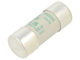 Siguranţă ceramică cilindrică 20A aM 690V AC - DF ELECTRIC