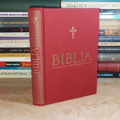 BIBLIA CU ILUSTRATII_BARTOLOMEU ANANIA * VOL. 6 : CARTILE NECANONICE , 2011 * foto