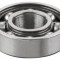 REMS Rulment-6001 057005