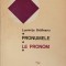 PRONUMELE. LE PRONOM-LUMINITA BRAILEANU-210612