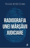 Radiografia unei marsavii judiciare - Traian Berbeceanu