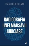 Radiografia unei marsavii judiciare - Traian Berbeceanu