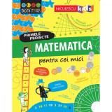 Matematica pentru cei mici. Primele proiecte, Alice James, Eddie Reynolds, Darran Stobbart, Niculescu