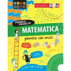 Matematica pentru cei mici. Primele proiecte, Alice James, Eddie Reynolds, Darran Stobbart