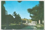bnk cp Mangalia - Muzeul de arheologie Callatis - necirculata