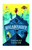 Malamander - Hardcover - Thomas Taylor - Corint Junior, 2019