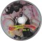 Evergreen Melodies Vol. 2, CD - 2