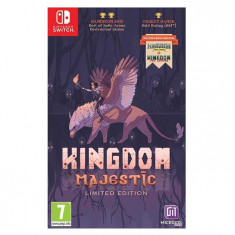 Kingdom Majestic Limited Edition Nintendo Switch foto