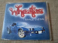 wheatus teenage dirtbag 2001 cd maxi single muzica alternative rock pop rock Columbia records sony music