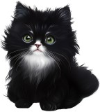 Sticker decorativ, Pisica, Negru, 66 cm, 1230STK