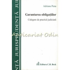 Garantarea Obligatiilor - Adriana Pena