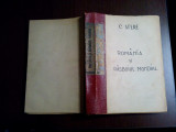 MARELE RASBOIU SI POLITICA ROMANIEI - C. Stere - Ed. Ziarului Lumina, 1918, 462p