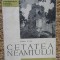 Radu Popa - Cetatea Neamtului, 1963
