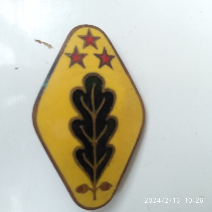 INSIGNA BRIGADIER SILVIC