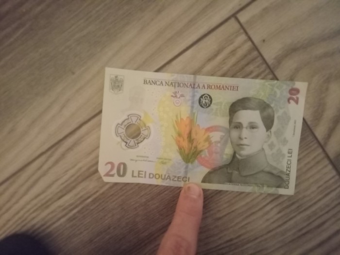 Vind bagnota de 20 de dolari