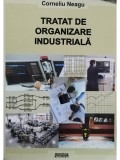 Corneliu Neagu - Tratat de organizare industriala (editia 2010)