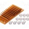 Radiator extrudat cu aripioare BGA aurie 23mm x 58mm - Advanced Thermal Solutions