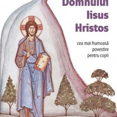 Viața Domnului Iisus Hristos - Paperback brosat - Amy Le Feuvre - Sophia