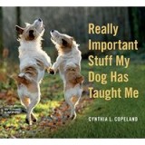 Really important stuff my dog has taught me