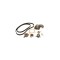 Set pompa apa + curea dintata FORD ESCORT CLASSIC Turnier ANL CONTITECH CT901WP2