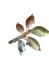 icon 6