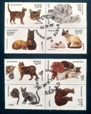 Oman pisici animale de rasă fauna animale serie 8v . stampilata, Stampilat