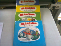 BLANCHON EN HIVER, BLANCHON GARDE MALADE, BLANCHON A LA MONTAGNE, BLANCHON LE TEMETAIRE - MARIA ZETEA foto