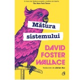 Cumpara ieftin Matura sistemului. Ed a II a, David Foster Wallace, Curtea Veche Publishing