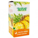 ANANAS SI PLANTE MEDICINALE 20DZX2GR, Plafar