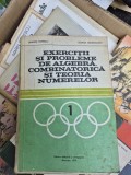 Exerciții și probleme de algebra combinatorica vintage